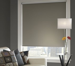 MyBlinds:  Blackout Roller Shade